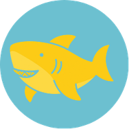 Summer of fun icon